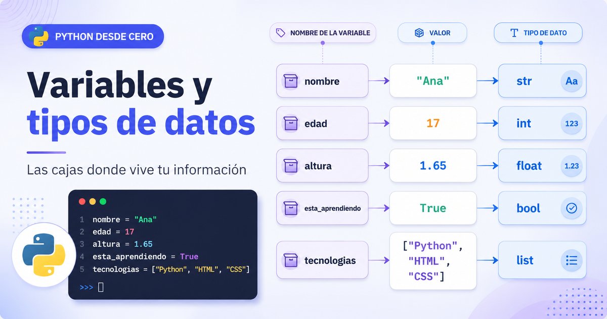Variables y tipos de datos: las cajas donde vive tu información